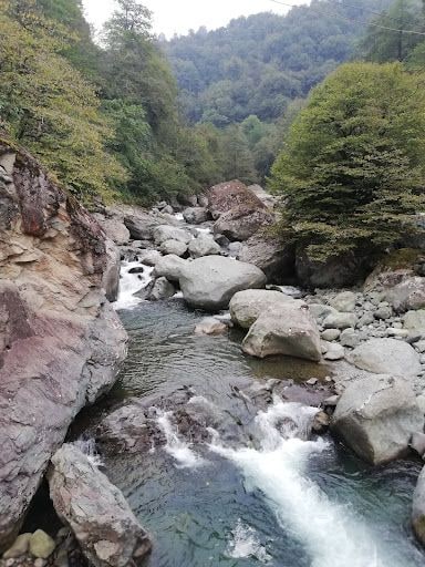 Fotoğraf 21