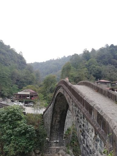 Fotoğraf 22