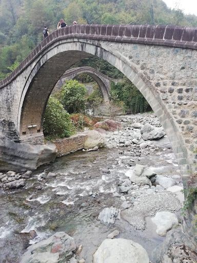 Fotoğraf 23