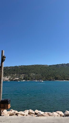Yorum fotoğrafı 4