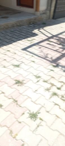 Yorum fotoğrafı 5
