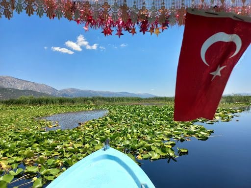 Yorum fotoğrafı 9