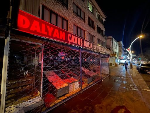 Yorum fotoğrafı 3
