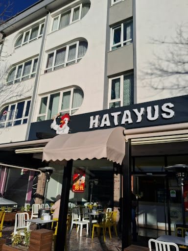 Yorum fotoğrafı 2