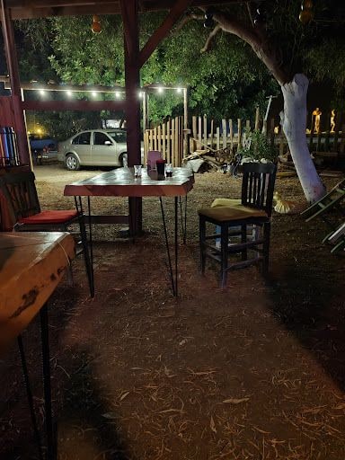 Fotoğraf 13