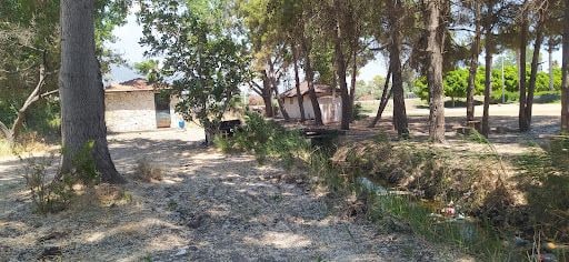 Yorum fotoğrafı 8