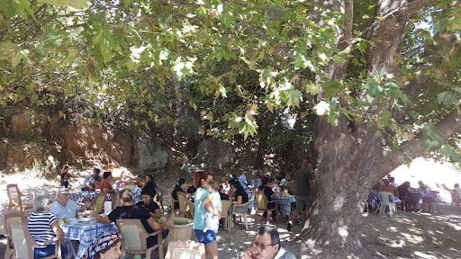 Yorum fotoğrafı 3