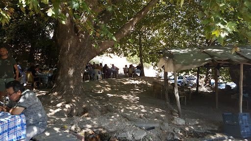 Yorum fotoğrafı 5