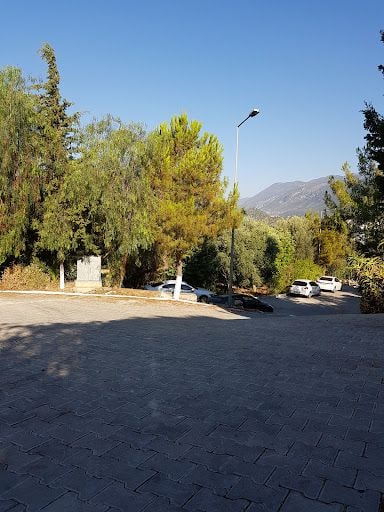 Yorum fotoğrafı 1