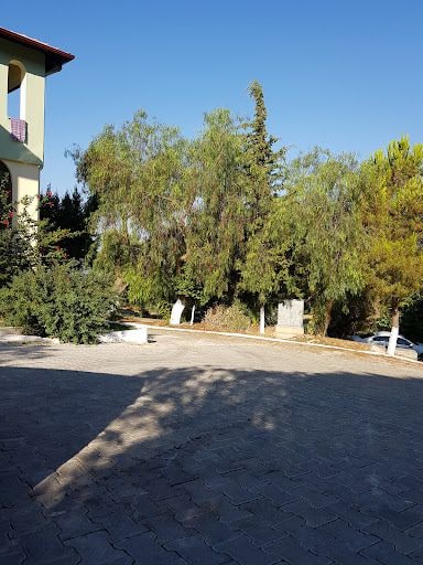 Yorum fotoğrafı 2