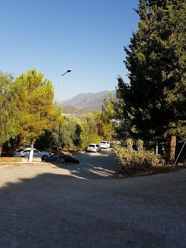 Yorum fotoğrafı 4