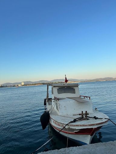 Fotoğraf 11