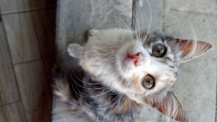 Yorum fotoğrafı 4