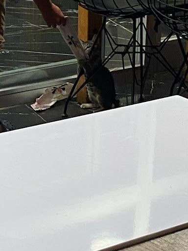 Yorum fotoğrafı 6