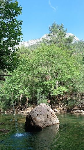 Yorum fotoğrafı 5
