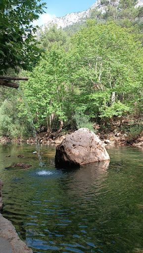 Yorum fotoğrafı 9