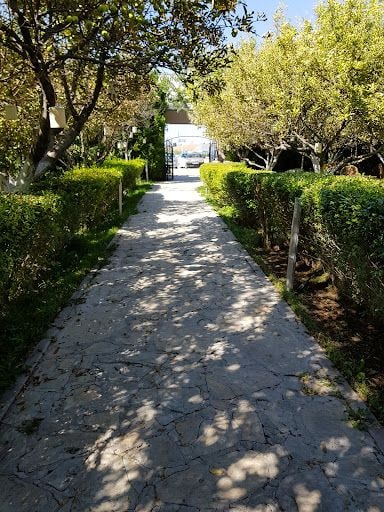 Yorum fotoğrafı 6