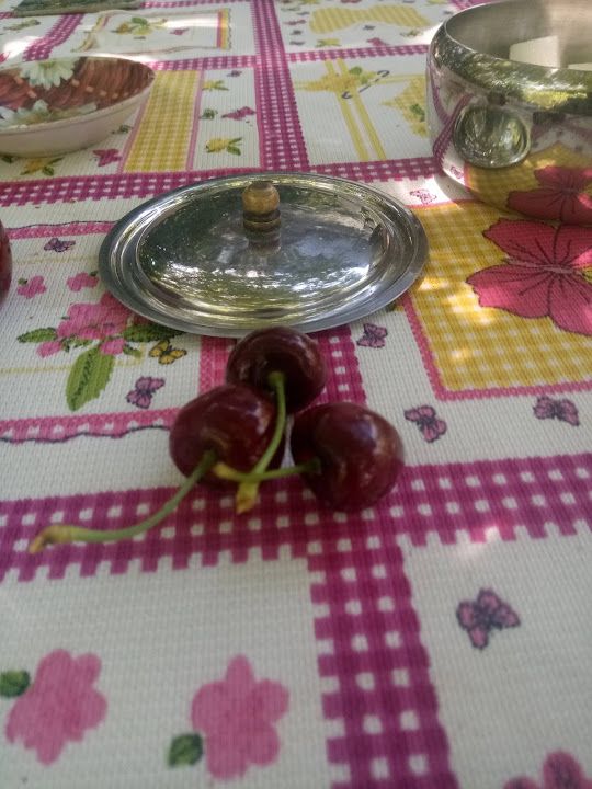 Fotoğraf 27