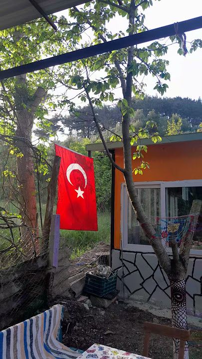 Fotoğraf 26