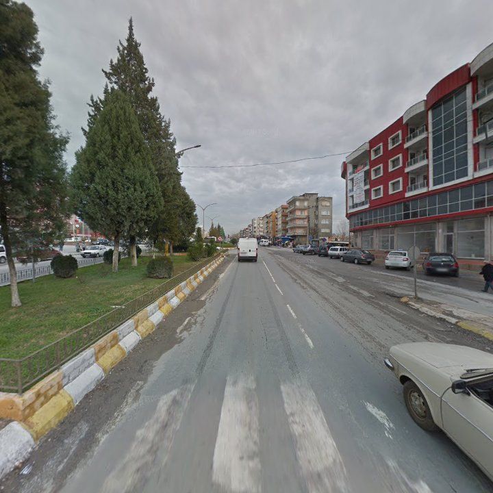 Fotoğraf 8