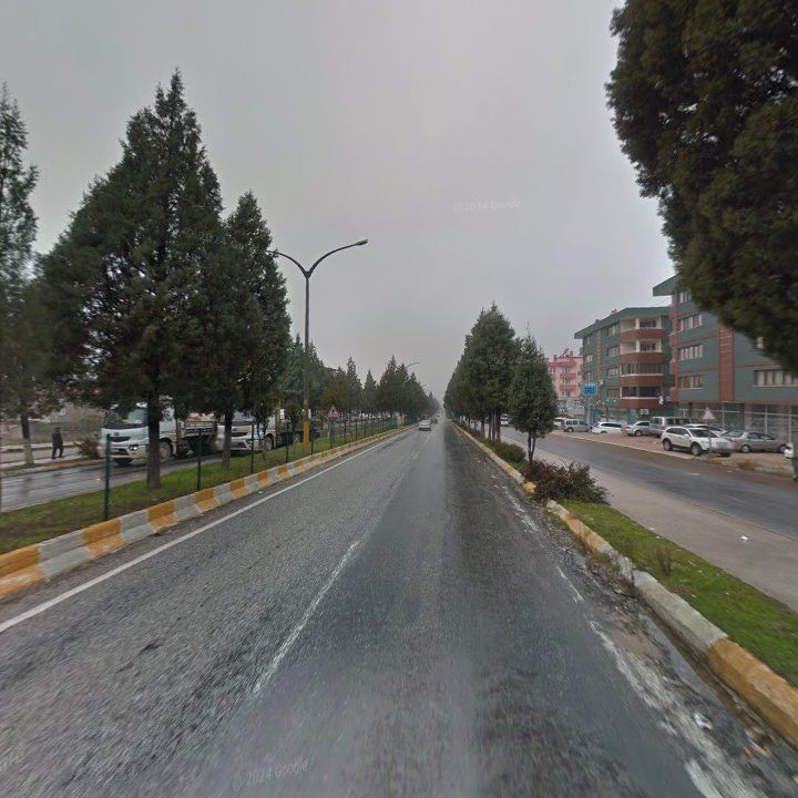 Fotoğraf 9