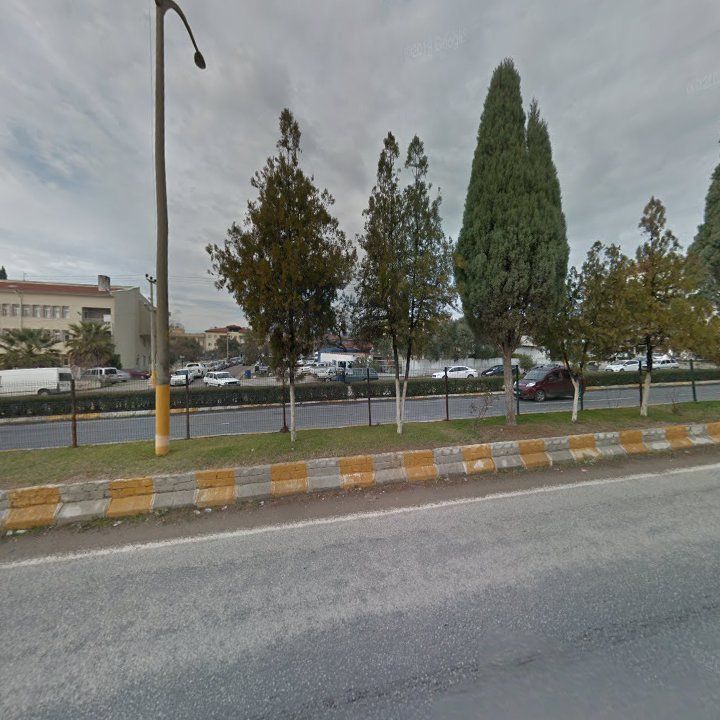 Fotoğraf 6