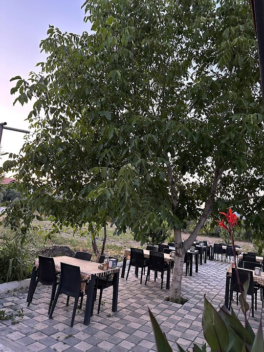 By Chef Kokoreç & Midye Bozarmut