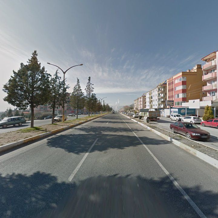 Fotoğraf 12