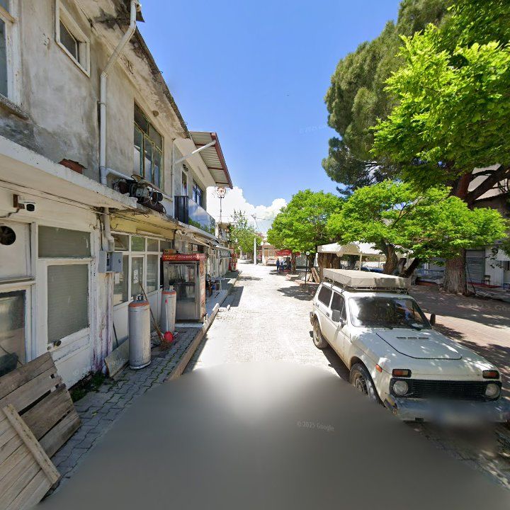 Fotoğraf 7