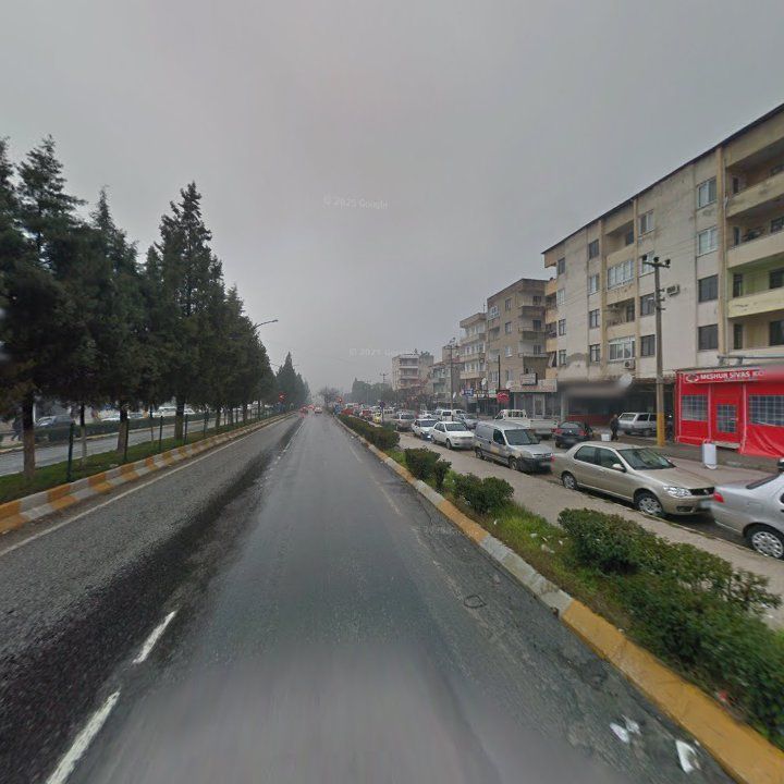 Fotoğraf 11