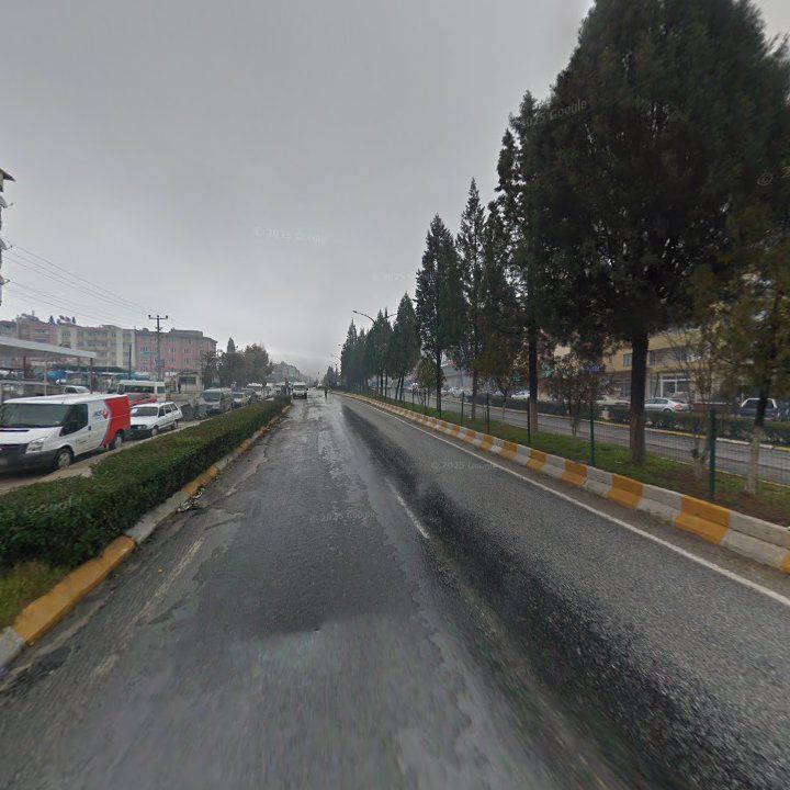 Fotoğraf 9