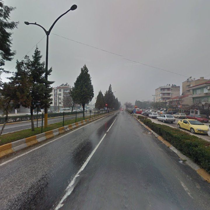 Fotoğraf 6