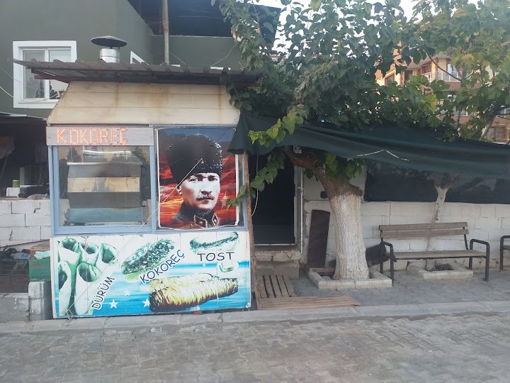 Fotoğraf 3