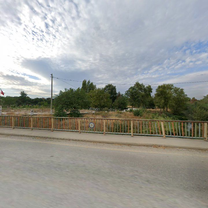 Fotoğraf 6