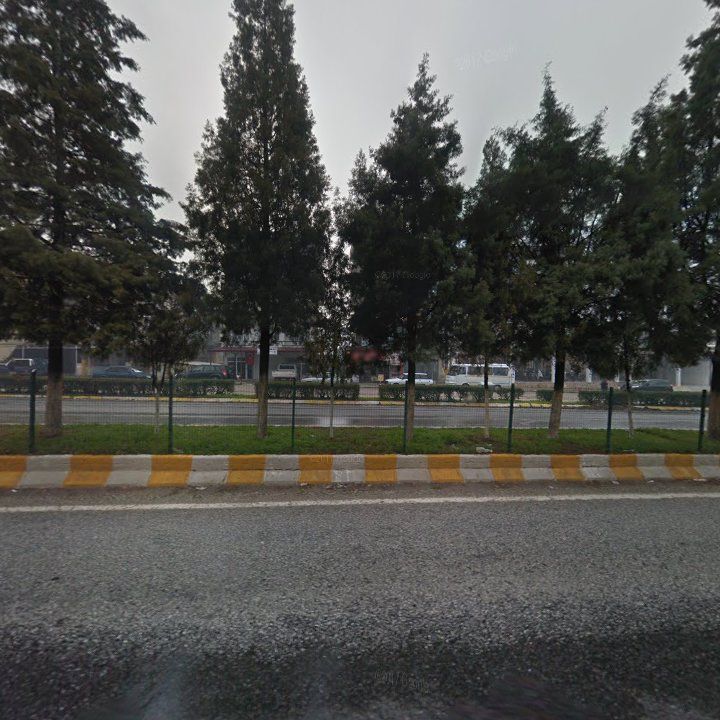 Fotoğraf 13