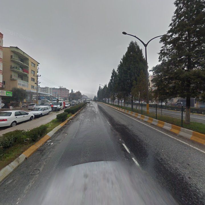 Fotoğraf 12
