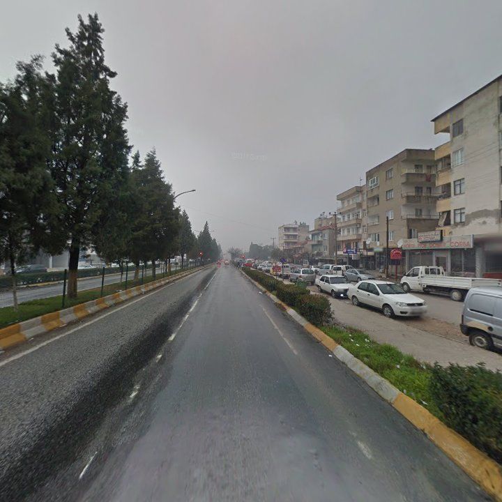 Fotoğraf 14