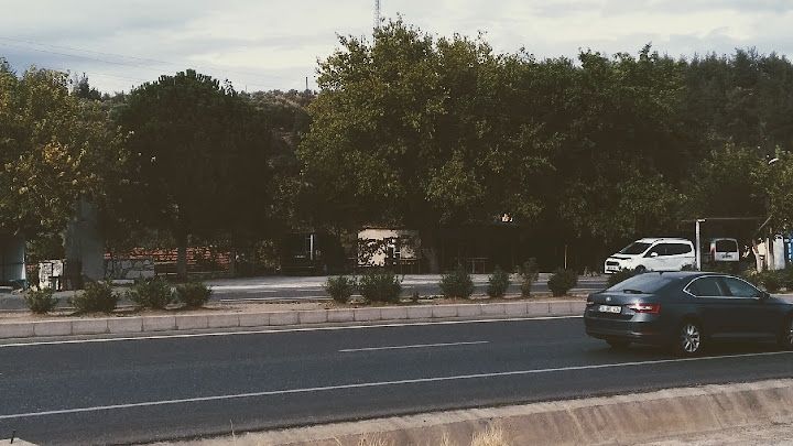 Fotoğraf 3