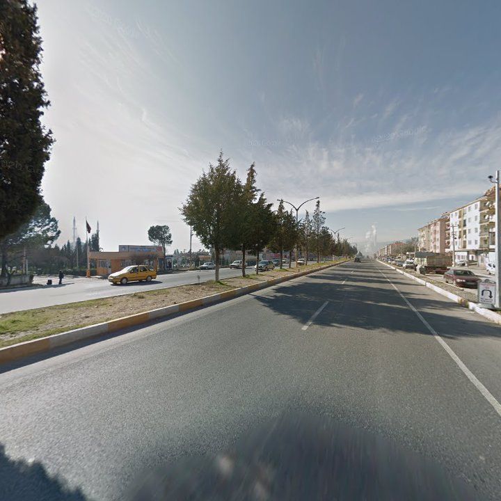 Fotoğraf 7