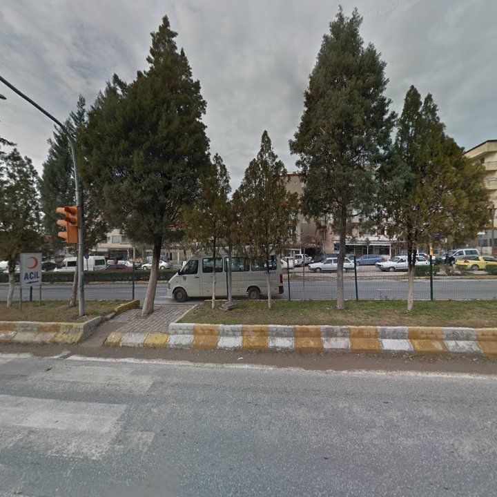 Fotoğraf 7