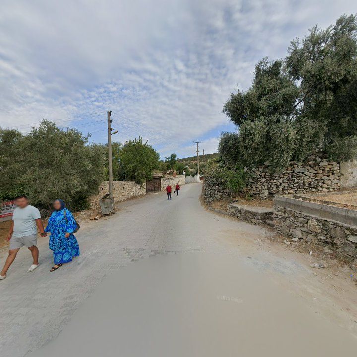 Fotoğraf 9