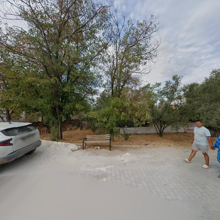 Fotoğraf 8