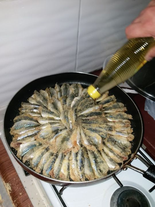 Fotoğraf 15