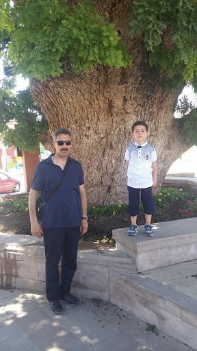 Yorum fotoğrafı 9