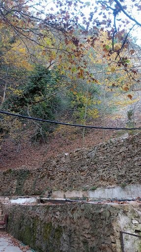 Yorum fotoğrafı 5