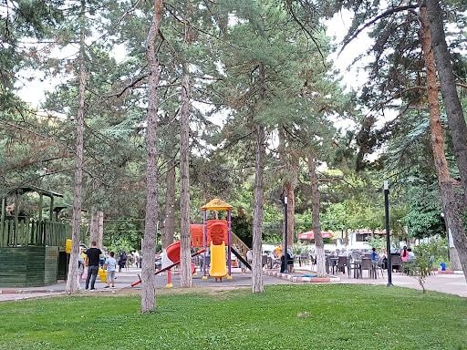 Yorum fotoğrafı 5