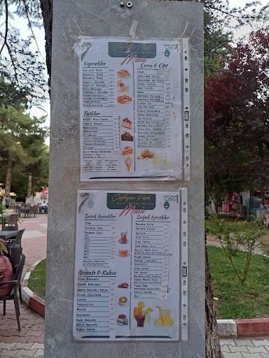 Yorum fotoğrafı 7