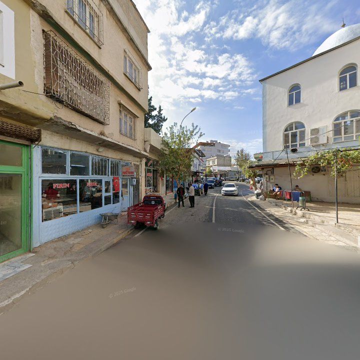 Fotoğraf 7