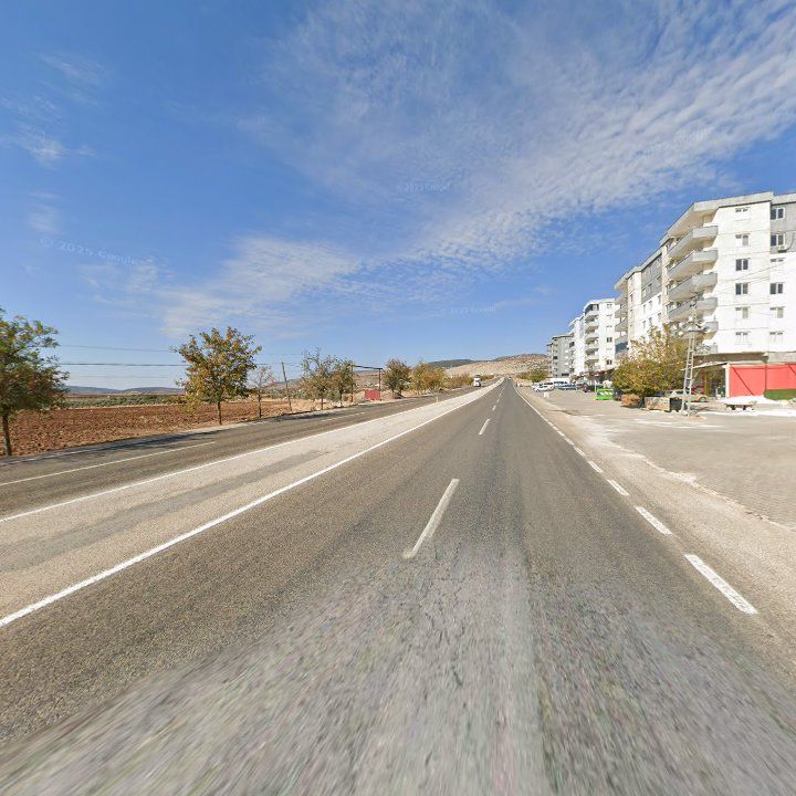 Fotoğraf 7