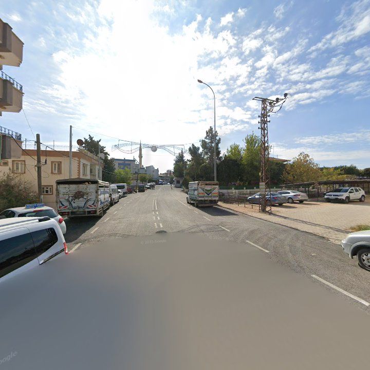 Fotoğraf 7